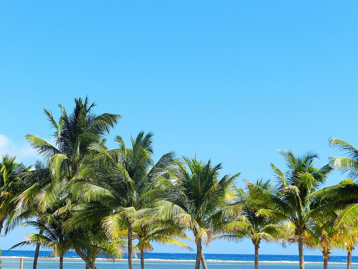 Palmeras De Mahahual Cabanas Exterior photo