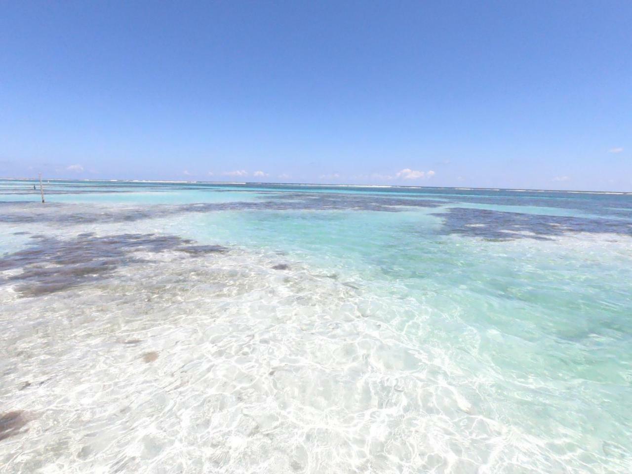 Palmeras De Mahahual Cabanas Exterior photo