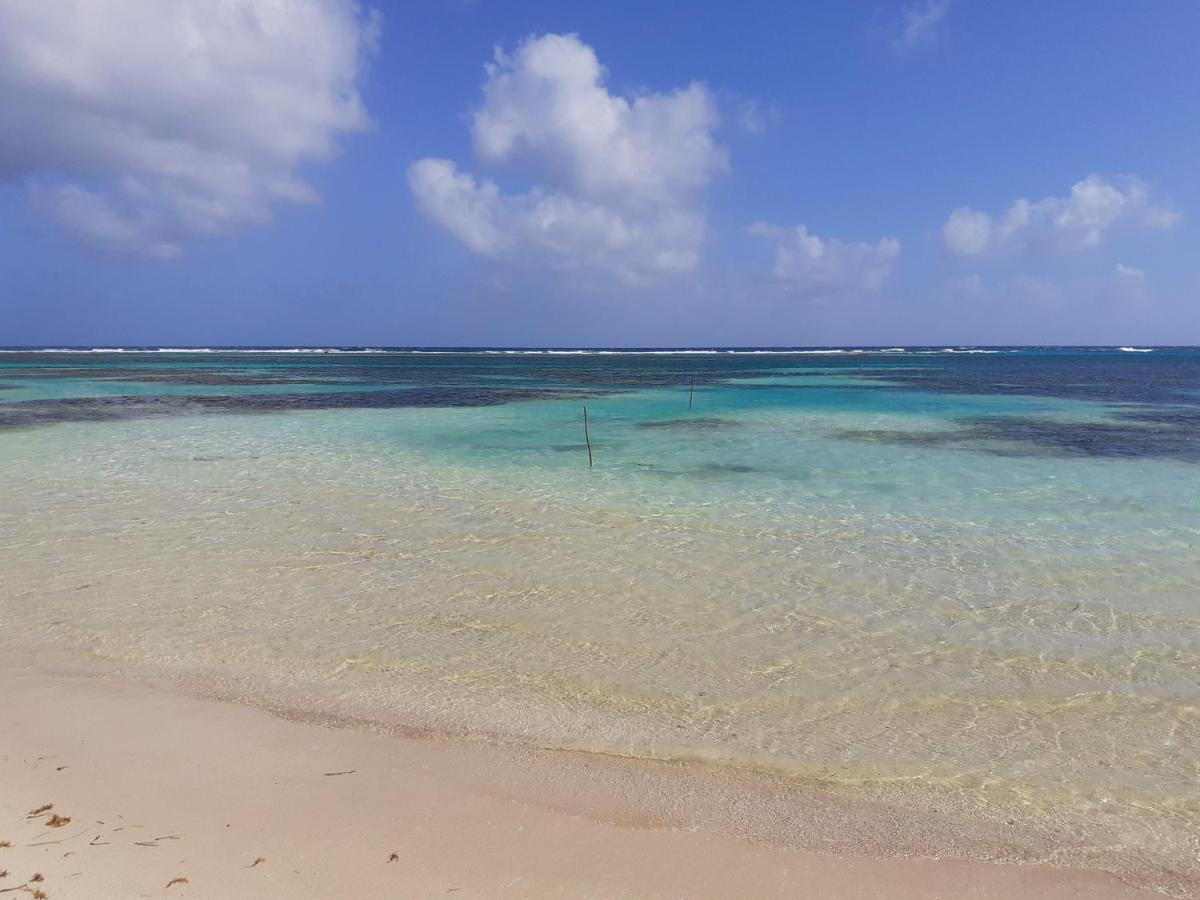 Palmeras De Mahahual Cabanas Exterior photo
